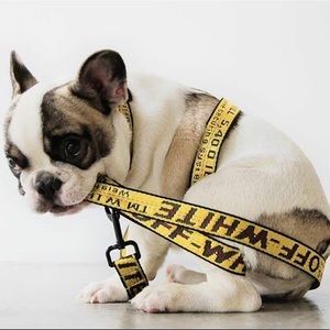 🆕 Off-White M/Large Dog Collar 5’ Leash adjustable 14”- 23” yellow NEW with tag